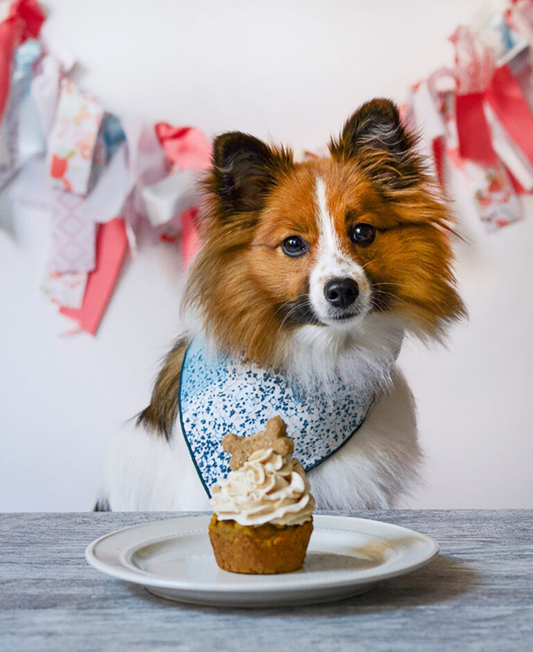 Peanut Butter Frosted Pupcake (Dog Cupcake)